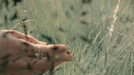 hand with ladybug